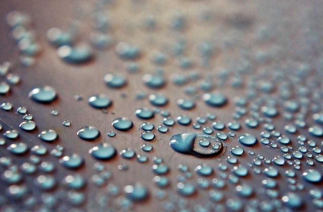 雷速比分平台展示2026世界杯足球与篮球赛事精彩瞬间，绿色球场与激情观众